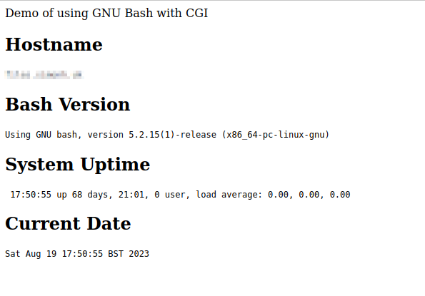 screenshot of Bash CGI output