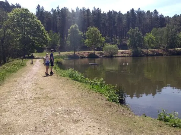 Cannock Chase