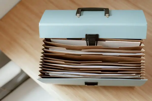 File Organiser