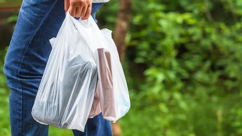 When plastic bags used to work