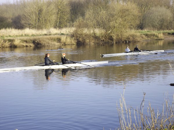 Rowers 1