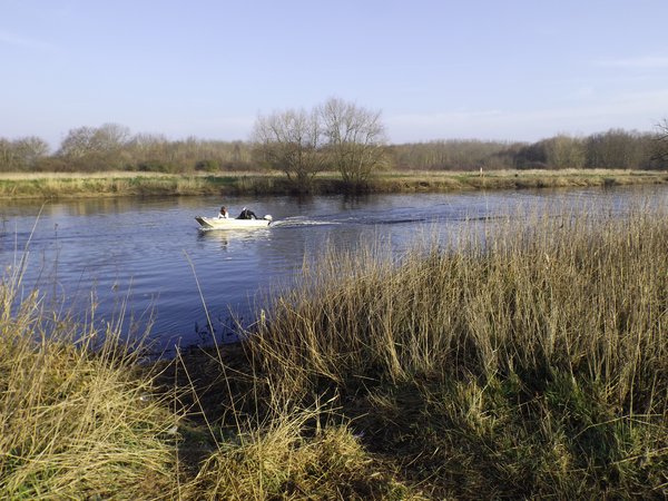 Rowers 2