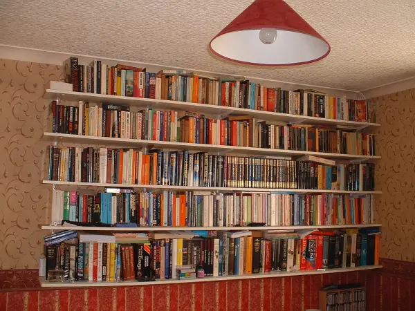 My book library in 2002