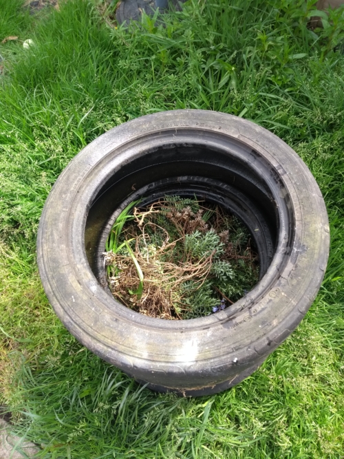First load of clippings and weeds inside tyres