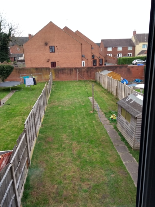 Ugly Lawn